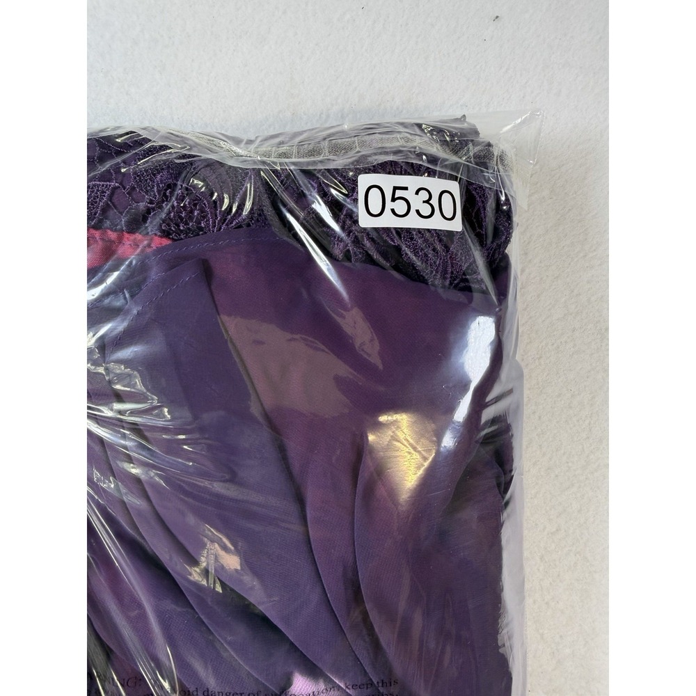 Caterina Collection Purple Lace Chiffon Dress Women's Long Plus size 24w Formal - Picture 13 of 16